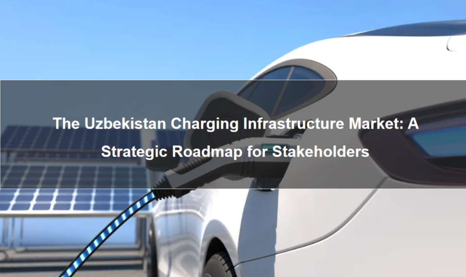The Uzbekistan Charging Infrastructure Market: A Strategic Roadmap for Stakeholders