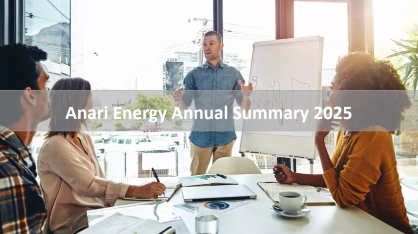 Anari Energy Annual Summary 2025
